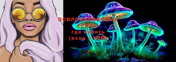 дживик Карпинск
