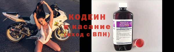 сатива Карталы