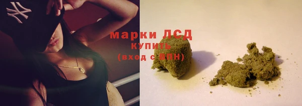скорость Каменка