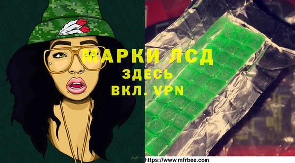 скорость Каменка