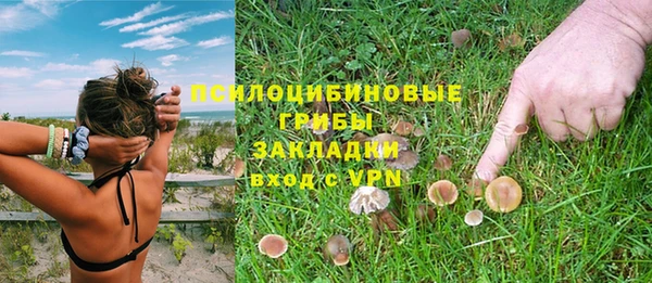 ешки Каменногорск