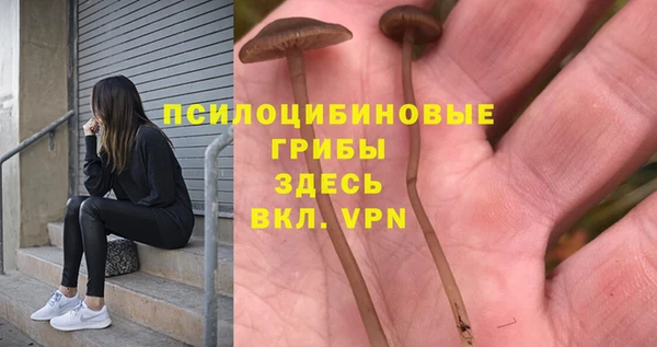сатива Карталы