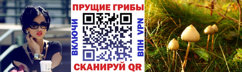Псилоцибиновые грибы GOLDEN TEACHER  Купить закладки  Навашино 